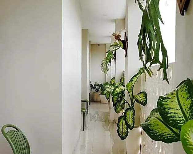 Hotel Deva Bali 2*